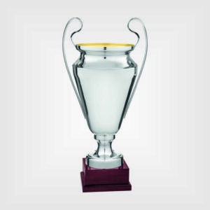 Coppa trofeo metallo legno champions League h70 8319