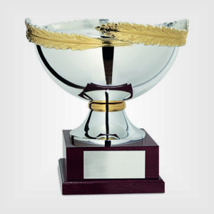 Coppa trofeo metallo legno h34 13