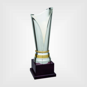 Coppa trofeo metallo legno h43 327