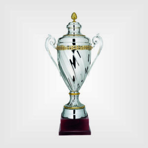Coppa trofeo metallo legno h70 77 83 501
