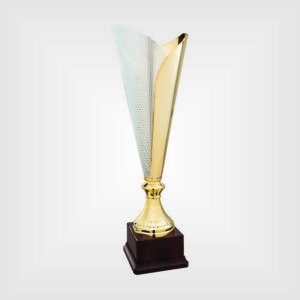 Coppa trofeo metallo plastica h29 34 38 44 48 6021