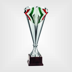 Coppa trofeo plastica h43 48 52 8005