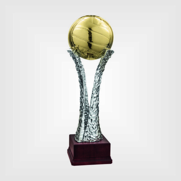 Coppa trofeo resina legno 56 SO 6718