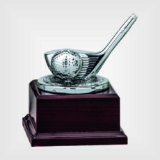 Coppa trofeo resina legno h16 SO 6832