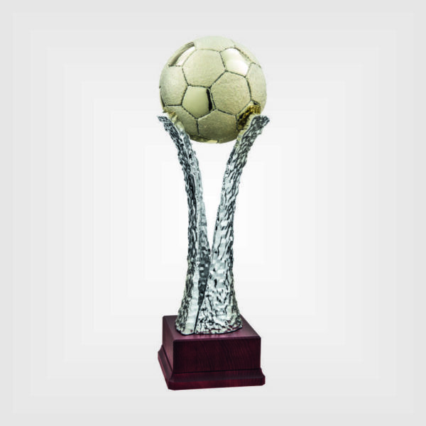 Coppa trofeo resina legno h55 SO 6716